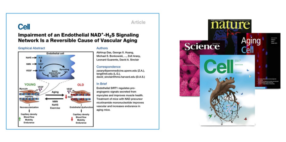 赛立复微球NMN：抗衰赛道的“王炸”！引领长寿科技新风向